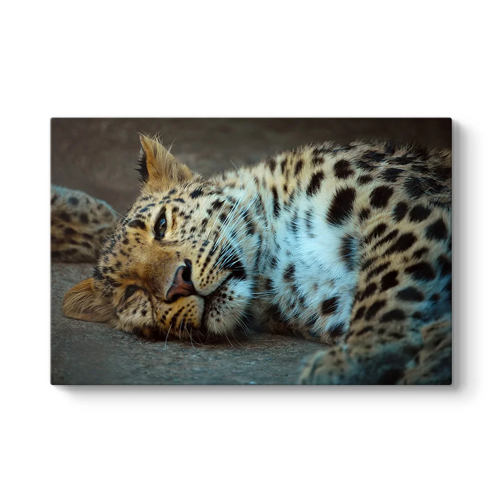 Leopar Tablosu - Model 1